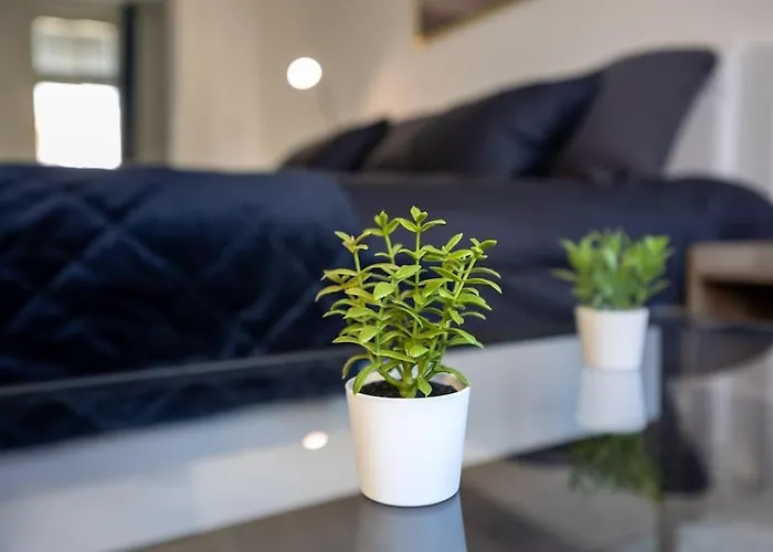 Royal Blue Deluxe Appartement *